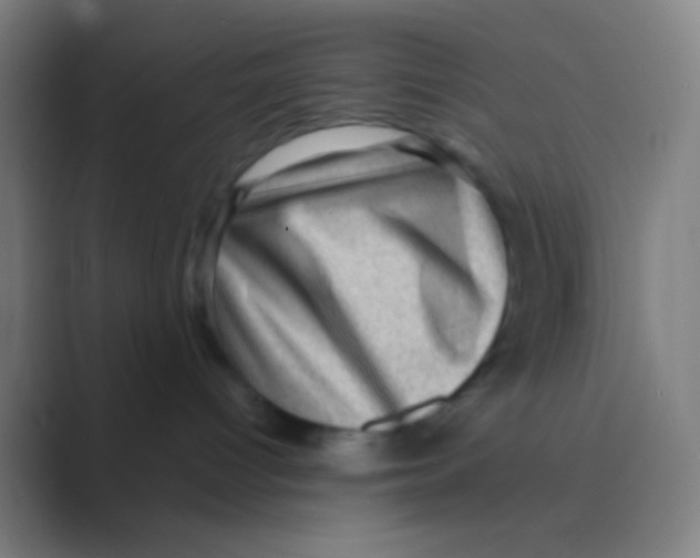 X0000088730096200706282133