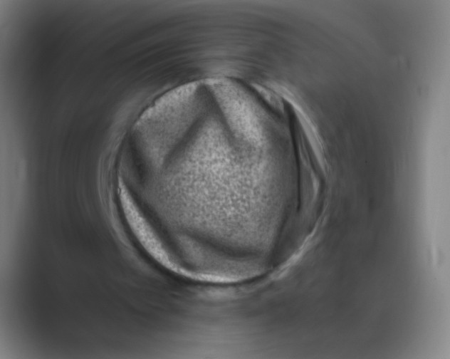 X0000088730097200706282132