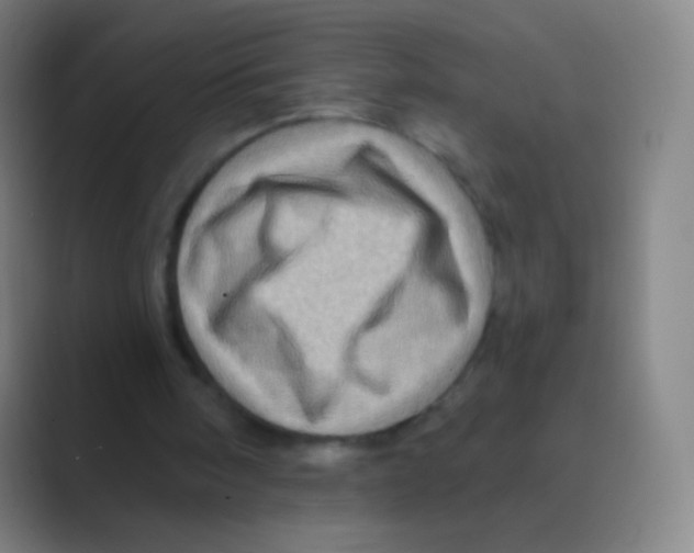 X0000088730098200706282132