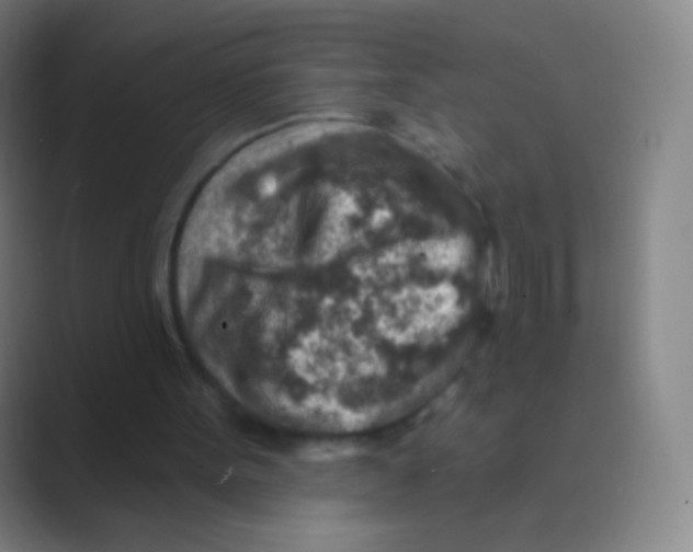 X0000088730099200706282132