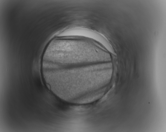 X0000088730100200706282132