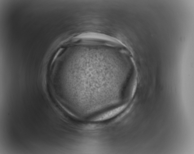 X0000088730101200706282132