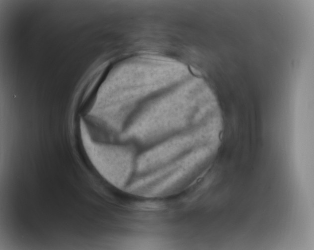 X0000088730102200706282132