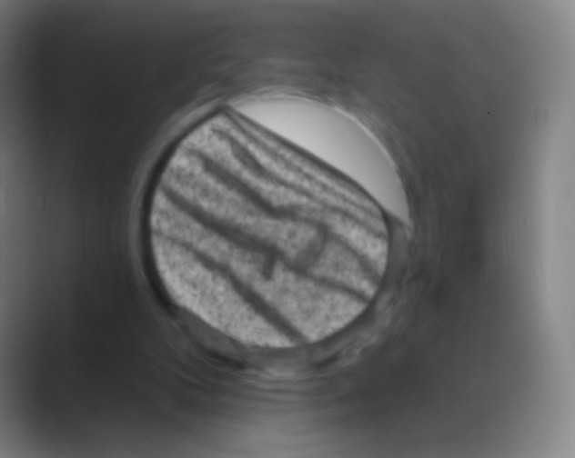 X0000088730104200706282132