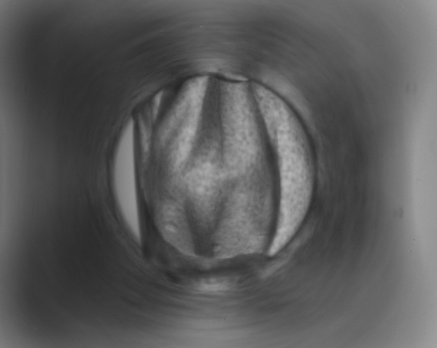 X0000088730105200706282132