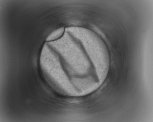 X0000088730106200706282132