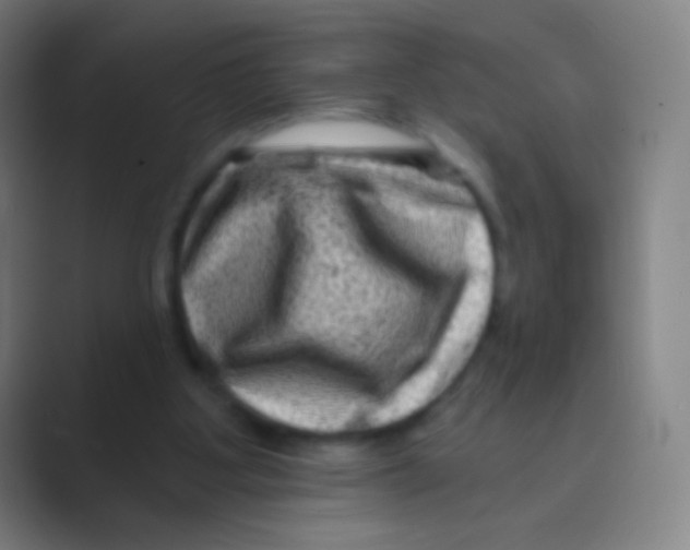 X0000088730107200706282132