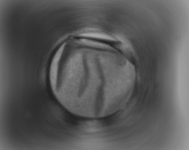 X0000088730108200706282132