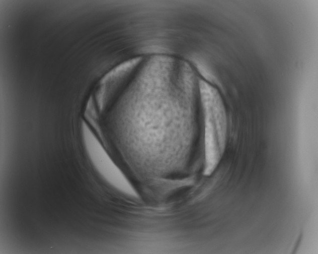 X0000088730109200706282132