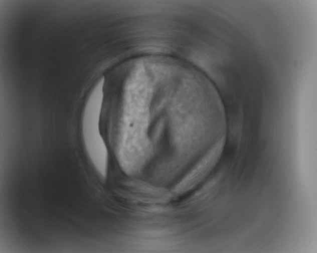 X0000088730111200706282132