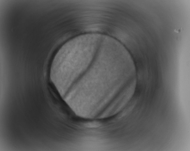 X0000088730112200706282132