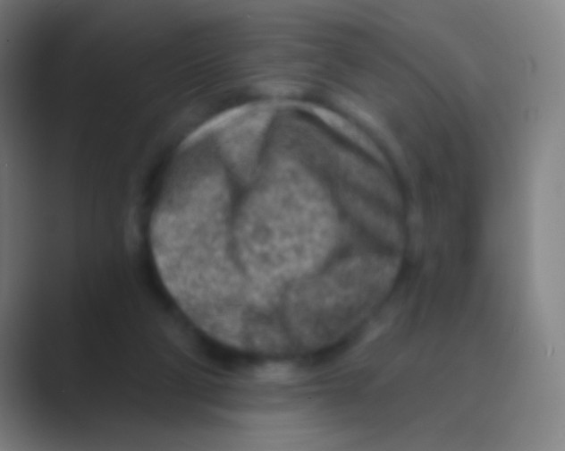 X0000088730114200706282132