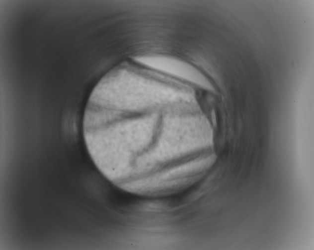 X0000088730115200706282132