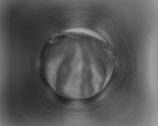 X0000088730117200706282132