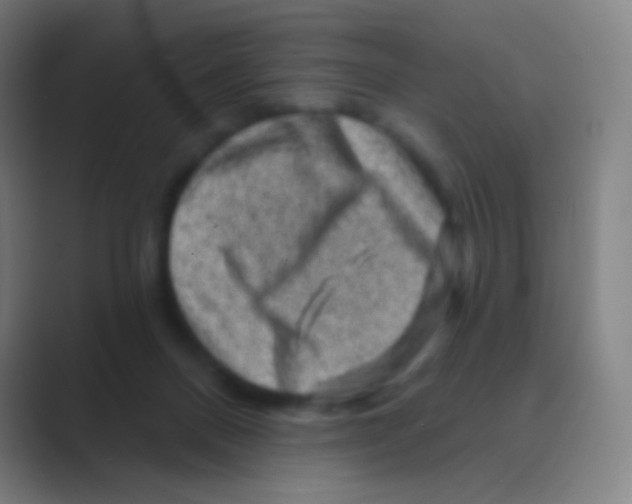 X0000088730120200706282132