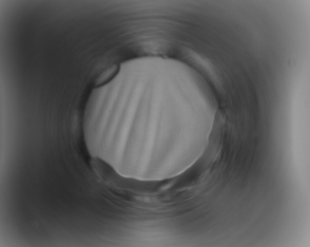 X0000088730121200706282132