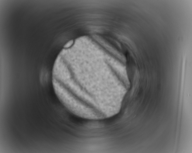 X0000088730123200706282132