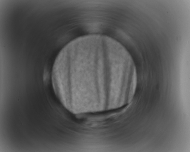 X0000088730124200706282132