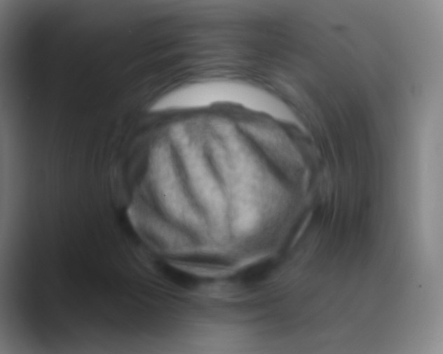 X0000088730125200706282132