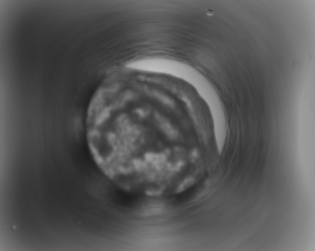 X0000088730127200706282132