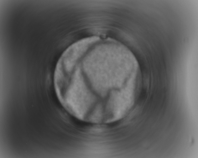 X0000088730128200706282132