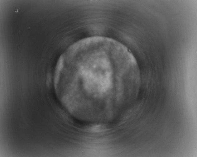 X0000088730130200706282132