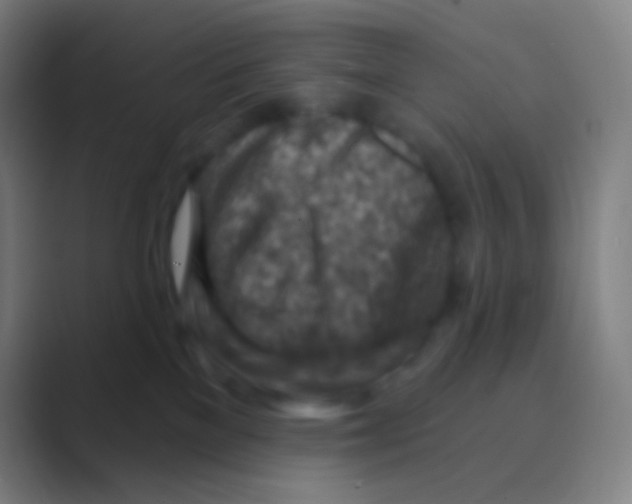 X0000088730137200706282131