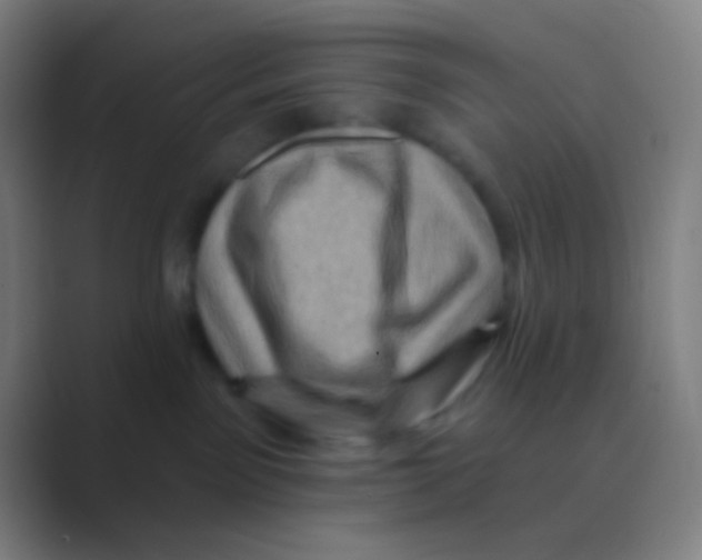 X0000088730141200706282131