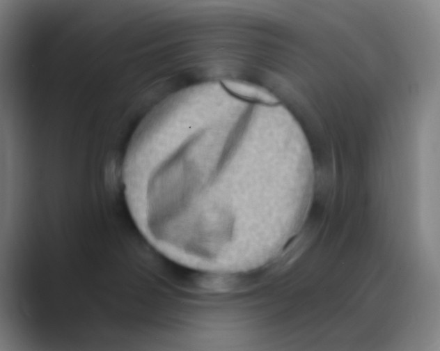 X0000088730142200706282131