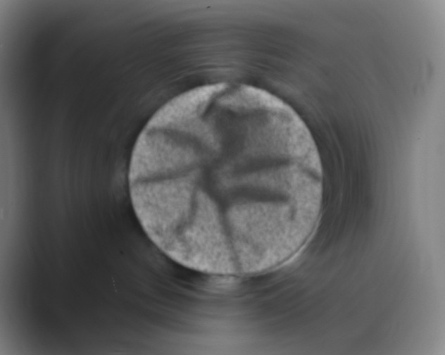 X0000088730144200706282131