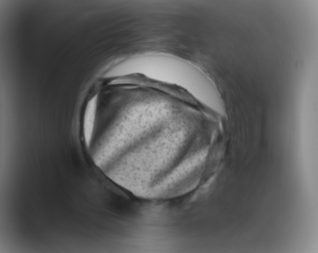 X0000088730148200706282131