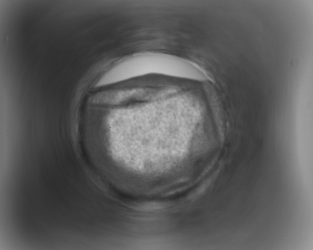 X0000088730149200706282131