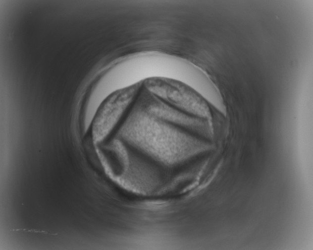 X0000088730150200706282131