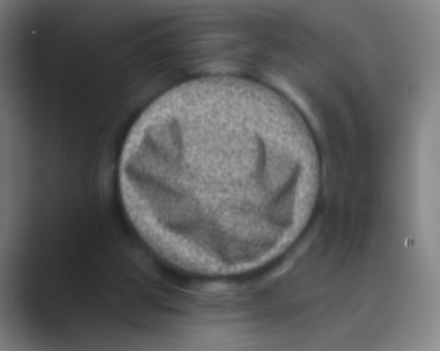 X0000088730153200706282131