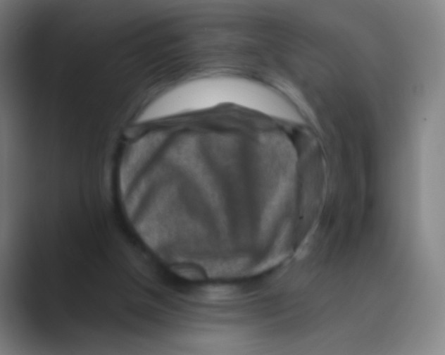 X0000088730154200706282131