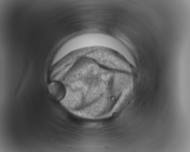 X0000088730155200706282131