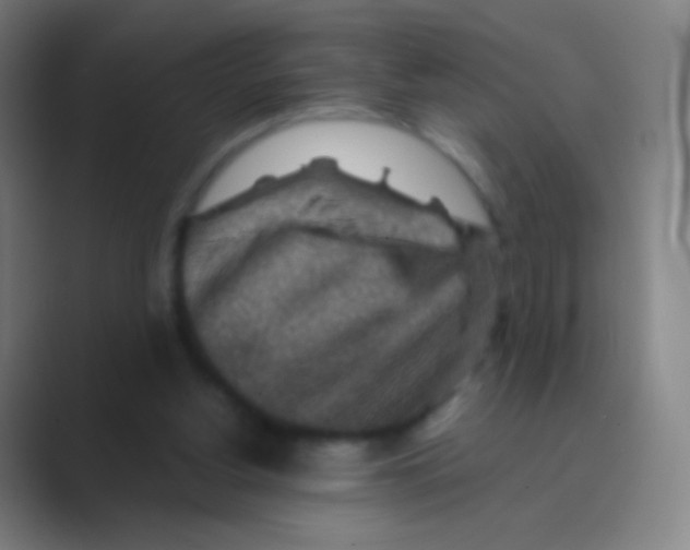 X0000088730156200706282131