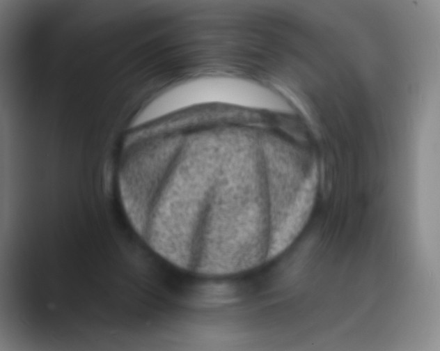 X0000088730157200706282131