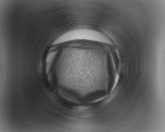 X0000088730158200706282131