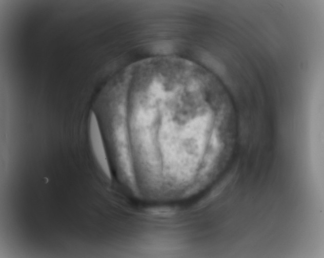 X0000088730161200706282131