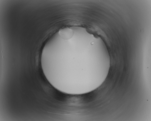 X0000088730163200706282131