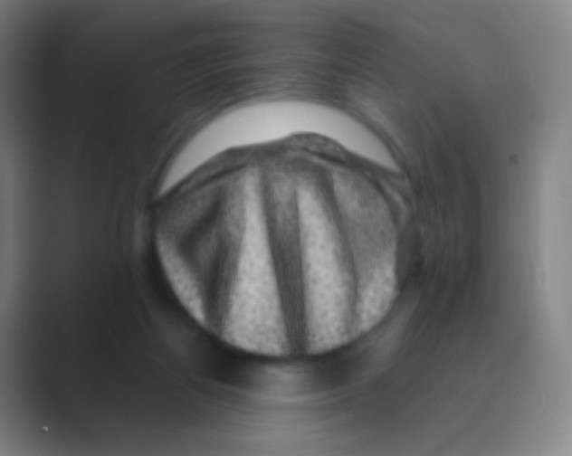 X0000088730164200706282131