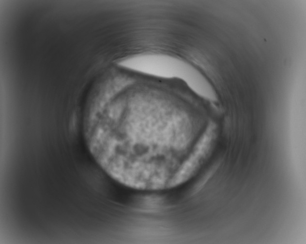 X0000088730165200706282131