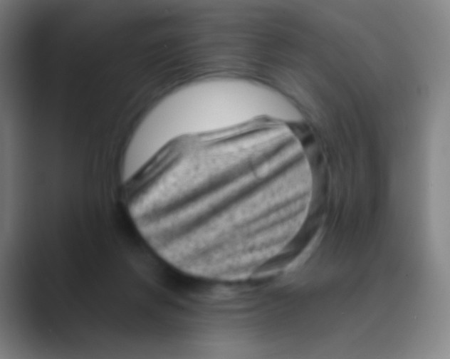 X0000088730166200706282131