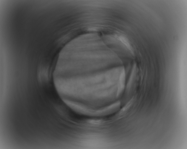 X0000088730168200706282131