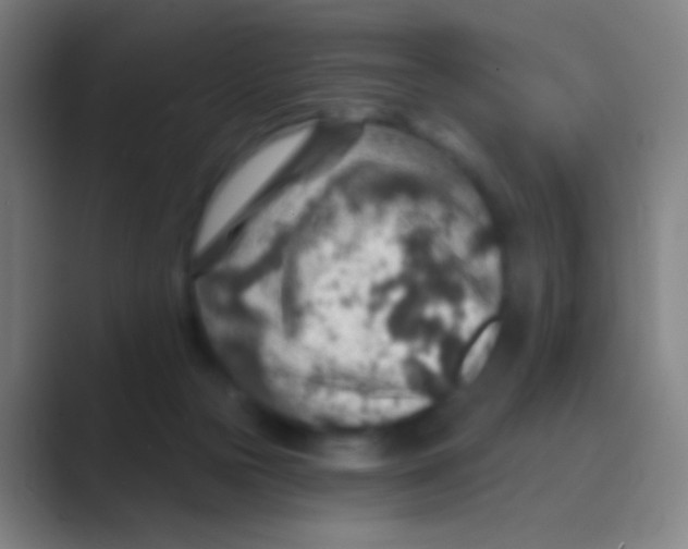 X0000088730169200706282131