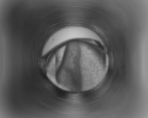 X0000088730170200706282131