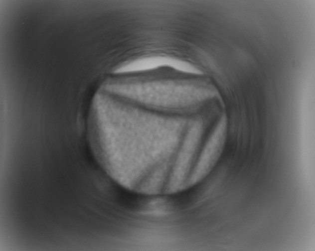 X0000088730173200706282131