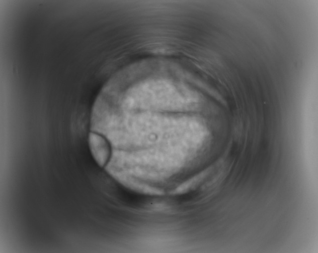 X0000088730175200706282131