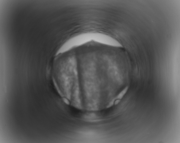 X0000088730177200706282131